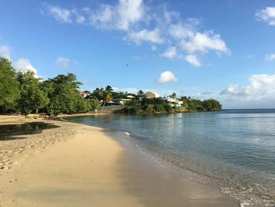 Nouveau Domaine De Mabouya Vue Mer Et Proximite Plage Сент-Люс Экстерьер фото